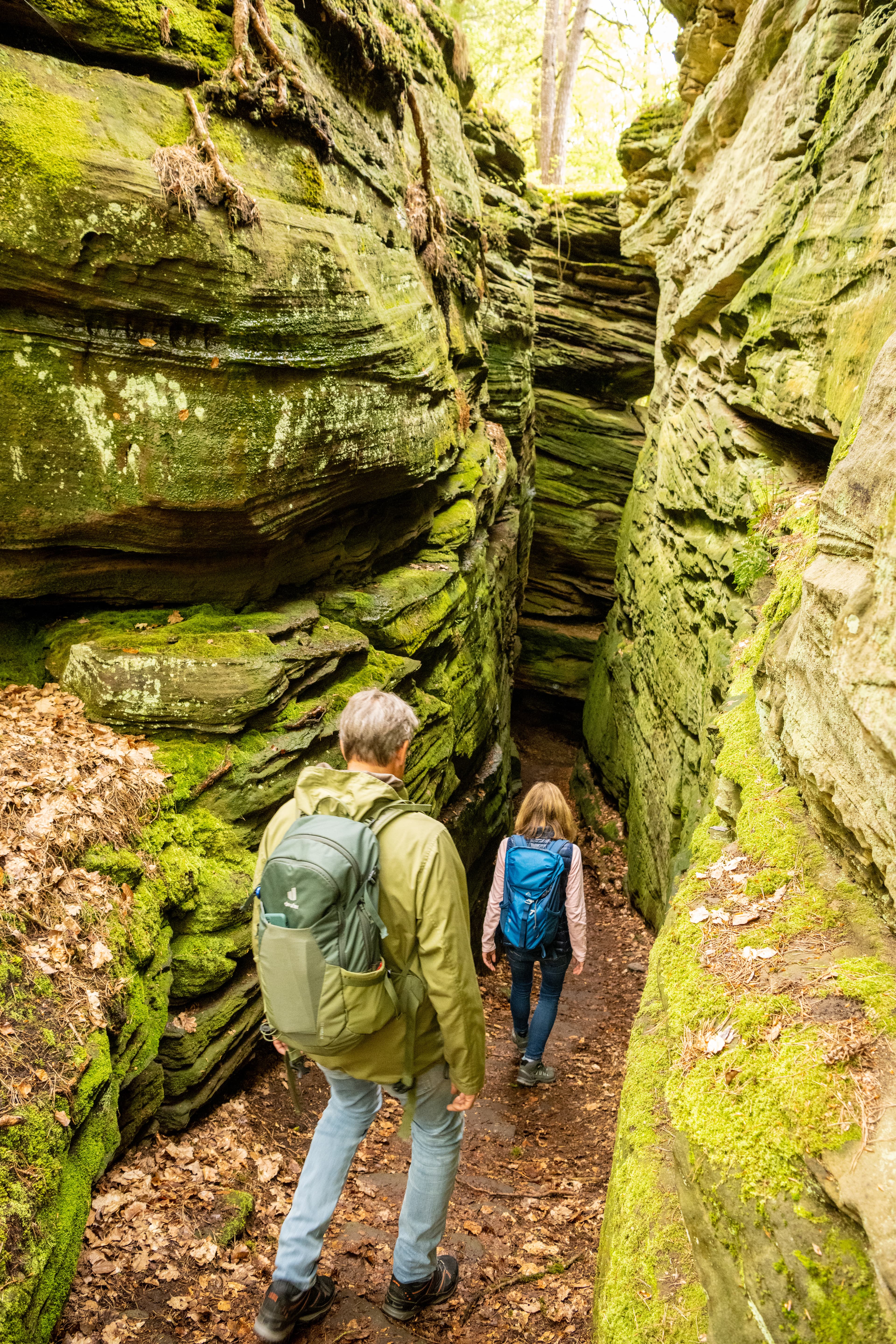 Lauschtour Grüne Hölle – Wanderweg Vulkaneifel