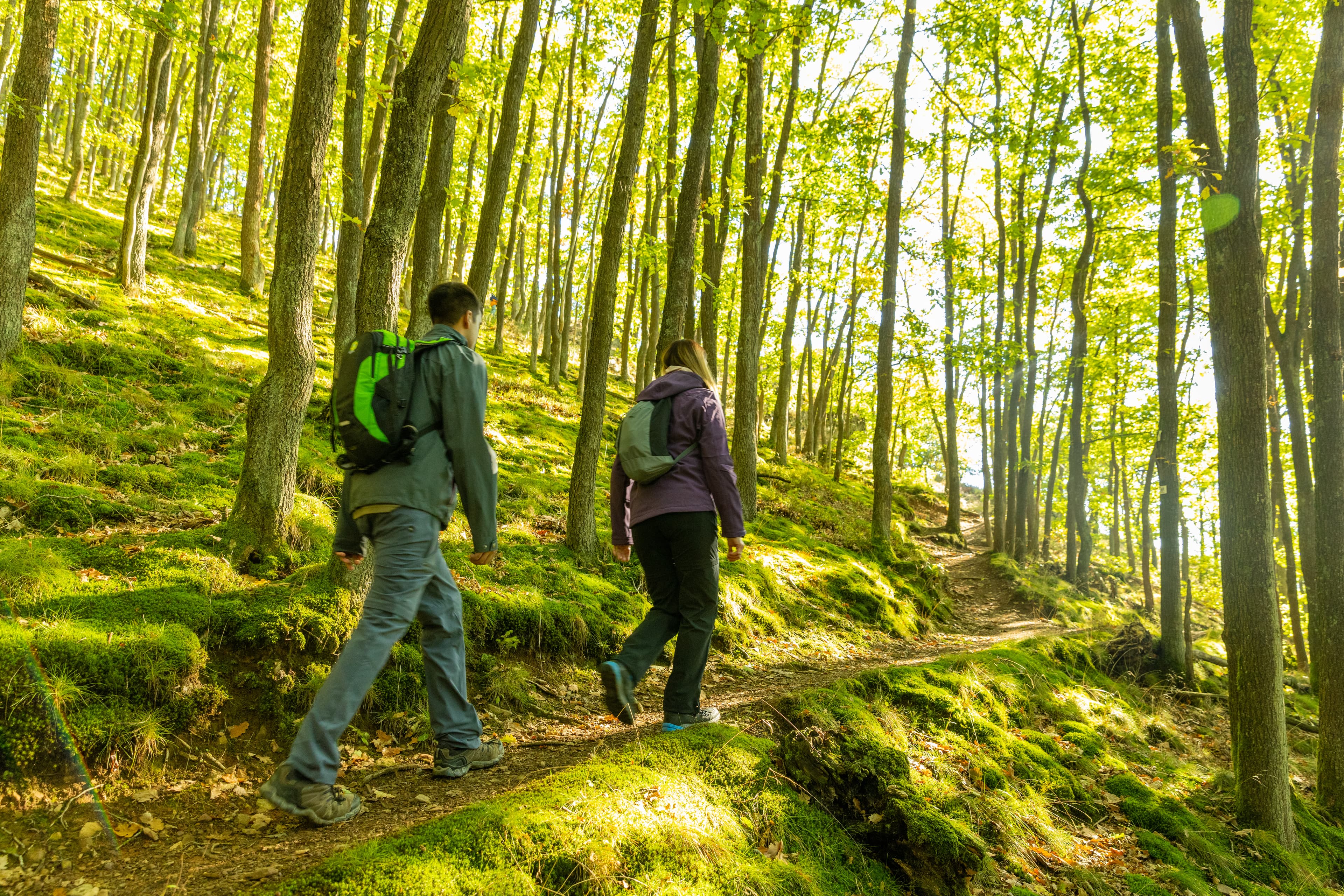 Wandern in der Vulkaneifel – Blick über Maare und Wälder