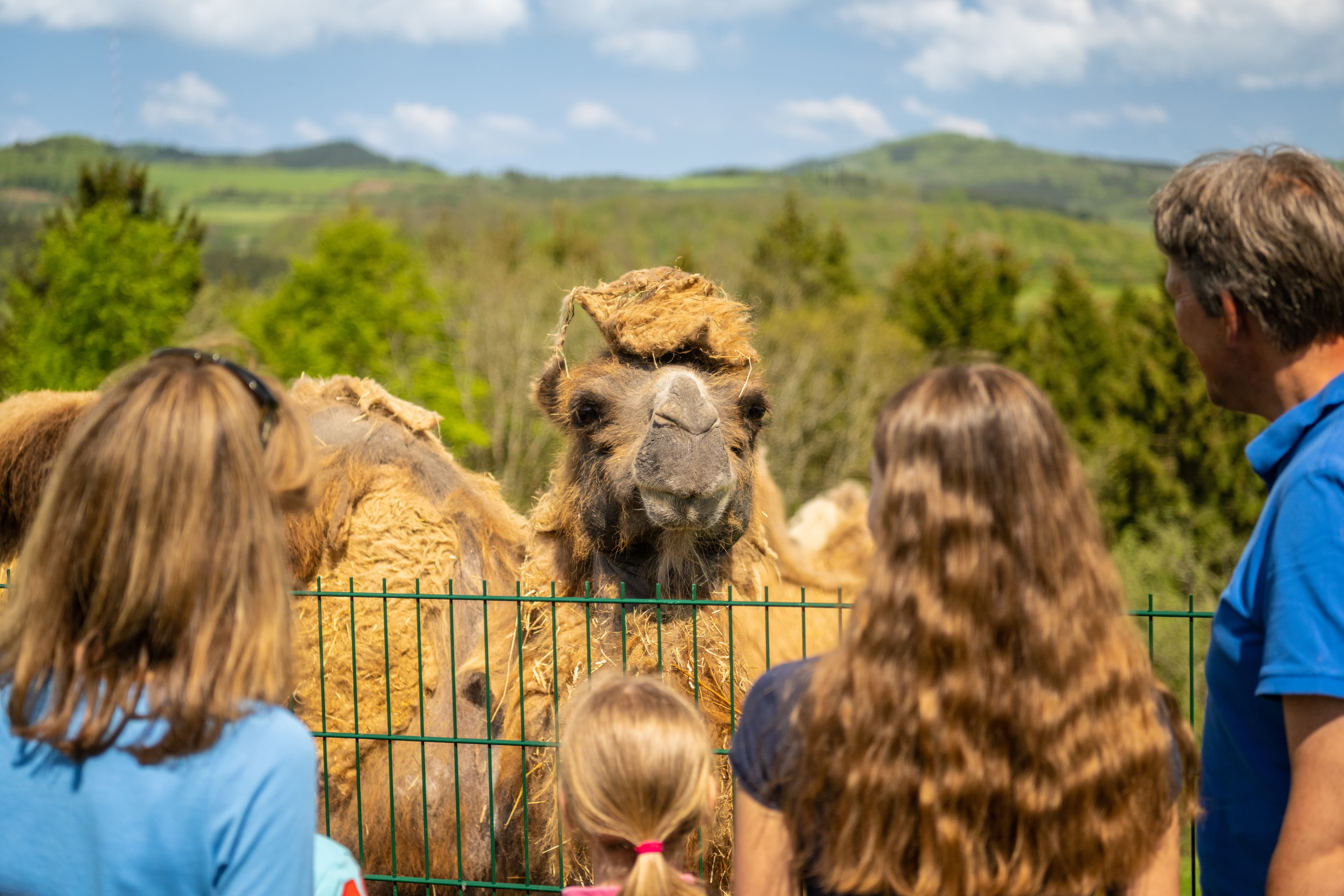 Wild- & Erlebnispark Daun – Tiere und Natur
